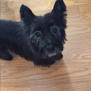 Meet your Posher, Audrey